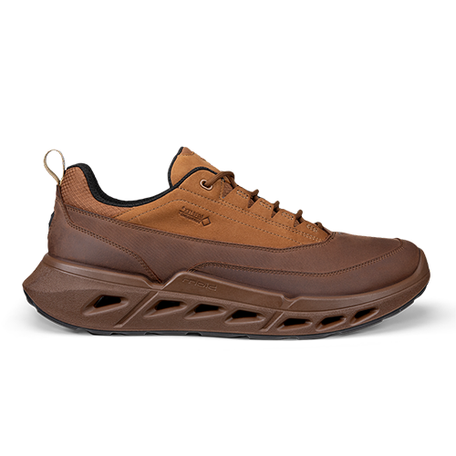 ECCO Biom 720 M Low GTXS sko med GORE-TEX