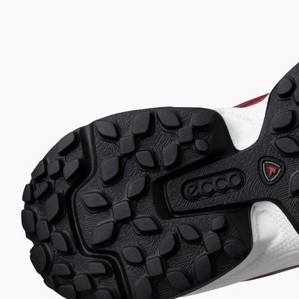 ECCO Receptor XP W sko