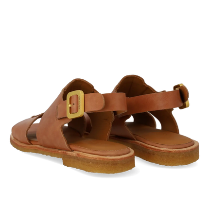 Angulus sandal
